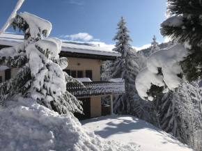 Chalet les trolles Les Gets